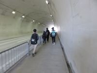 IMG_8116.JPG