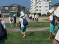 IMG_9262.jpg
