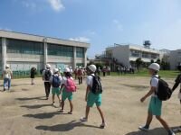 IMG_9268.jpg