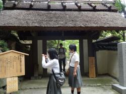 DSC03863.JPGのサムネール画像