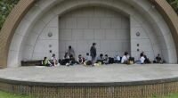 縮小.JPG