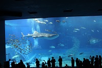 Ｒ1高修学旅行７.JPG